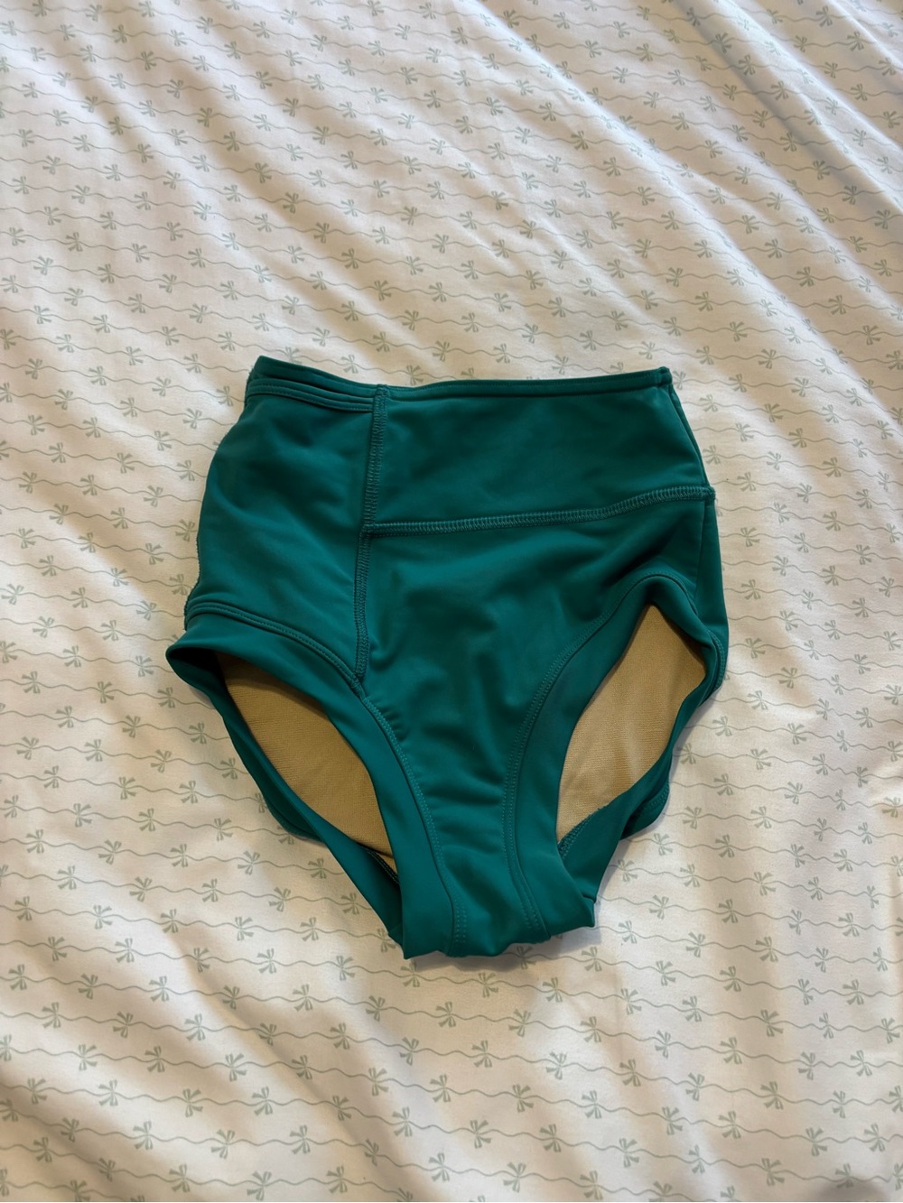 High-Waisted Teal Briefs Bottom Tiger Friday